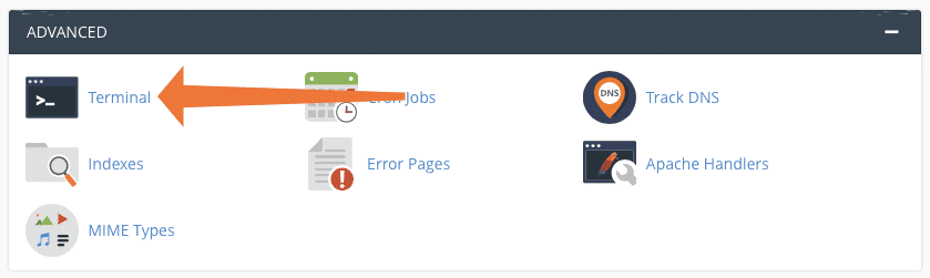 WP CLI: Instale e gerencie o WordPress® na linha de comando 
